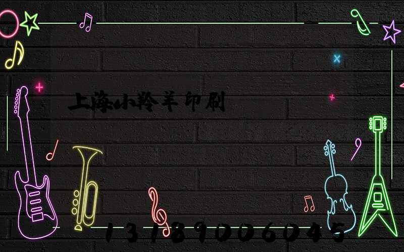 上海小羚羊印刷erp